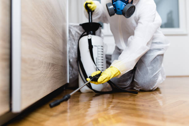 Best Termite Control Services  in Horizon West, FL