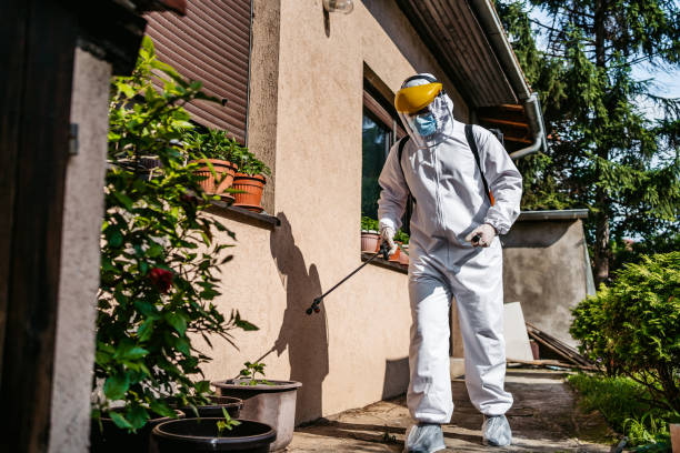 Best Best Pest Control Companies  in Horizon West, FL