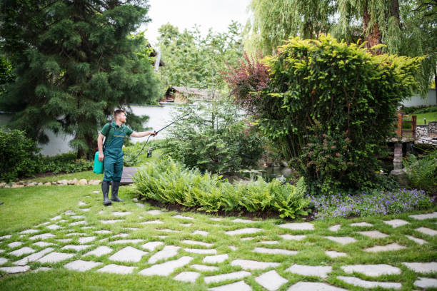 Best Wasp Removal Services  in Horizon West, FL