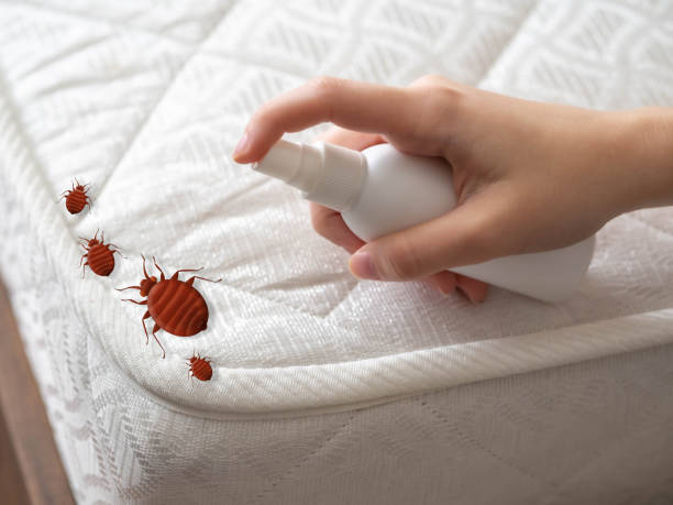 Best Pest Control Treatment  in Horizon West, FL