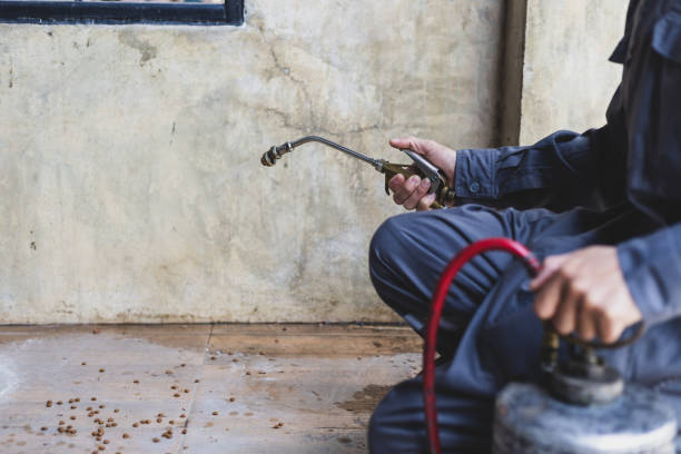 Best Best Pest Control Near Me  in Horizon West, FL